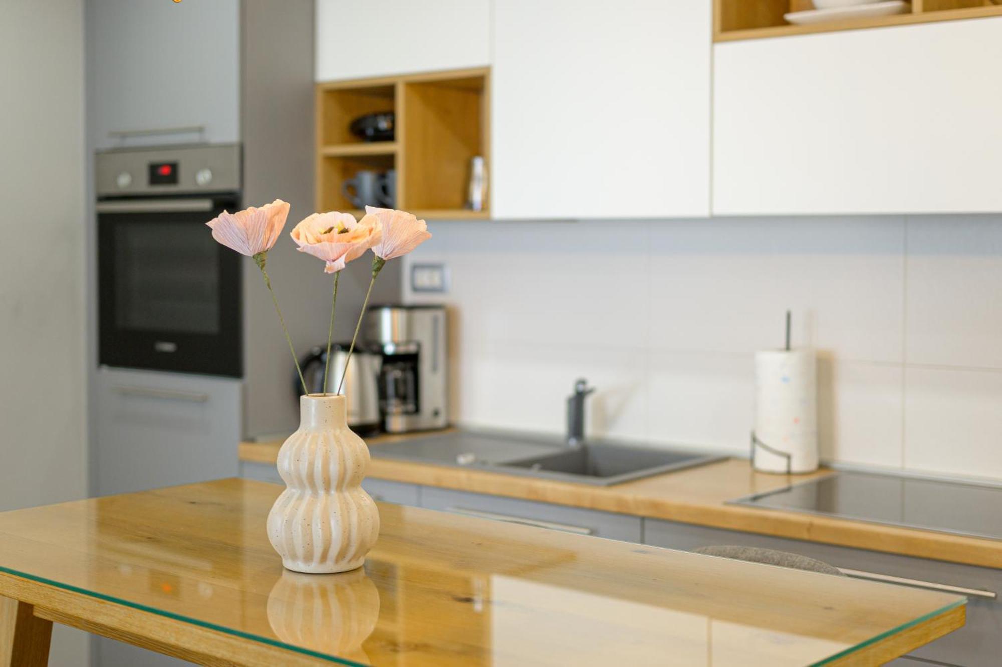 Lavanda Maslina - New Luxury Apartments プーラ エクステリア 写真